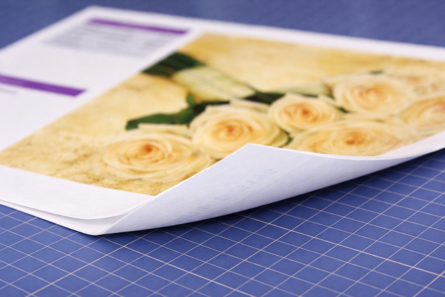 8.0mil Matte White Photographic Poster Paper (230gsm) (#753)