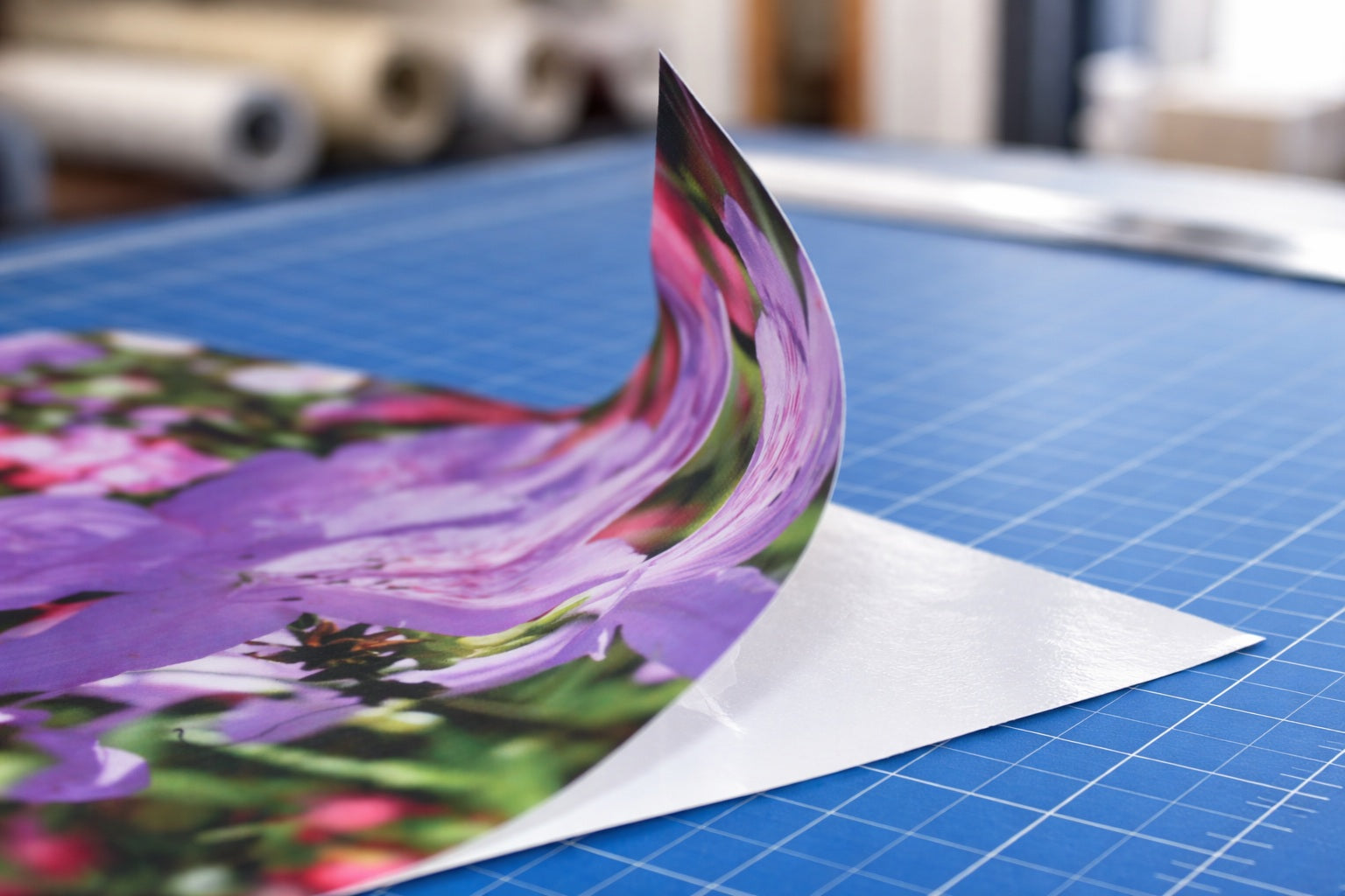 9.0mil Wall Film Matte White Polyester Fabric with Removable Repositionable Adhesive (#923)